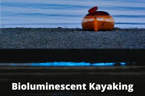 Bioluminescent Kayaking